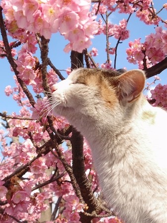 №124, Анна Носова №124, Анна Носова