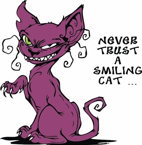 Артемий Жданов | Минск