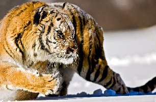 №77, Эдуард Гадельшин, Южное №77, Эдуард Гадельшин, Южное