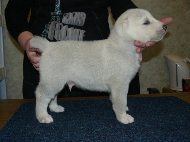 Александра Лакеева | Пенза