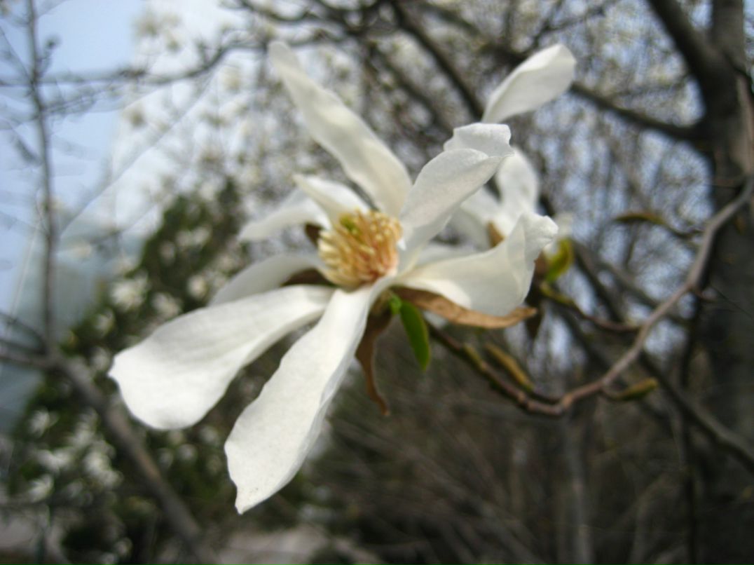 Мария Мануилова | Москва