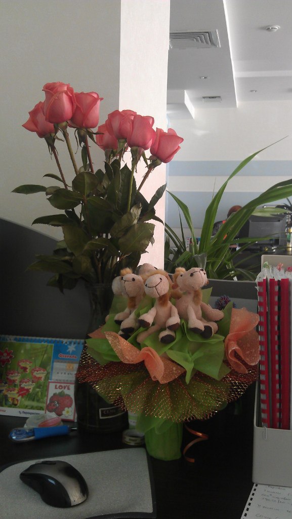 Наталья Шахова | Сургут