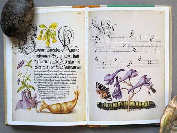 Тина Романова | Одесса