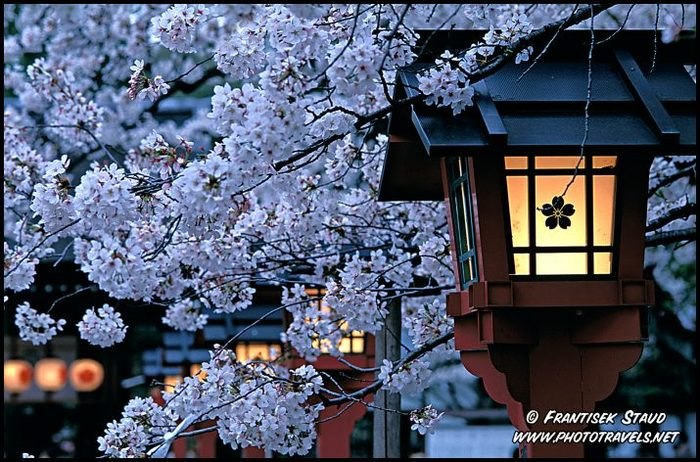 Максим Левченко | Новосибирск