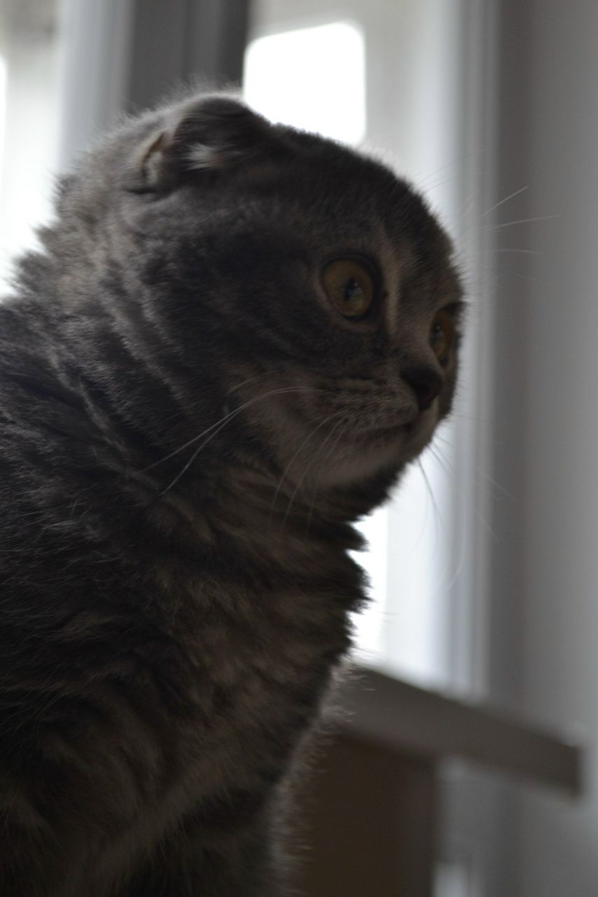 Маша Басова | Екатеринбург