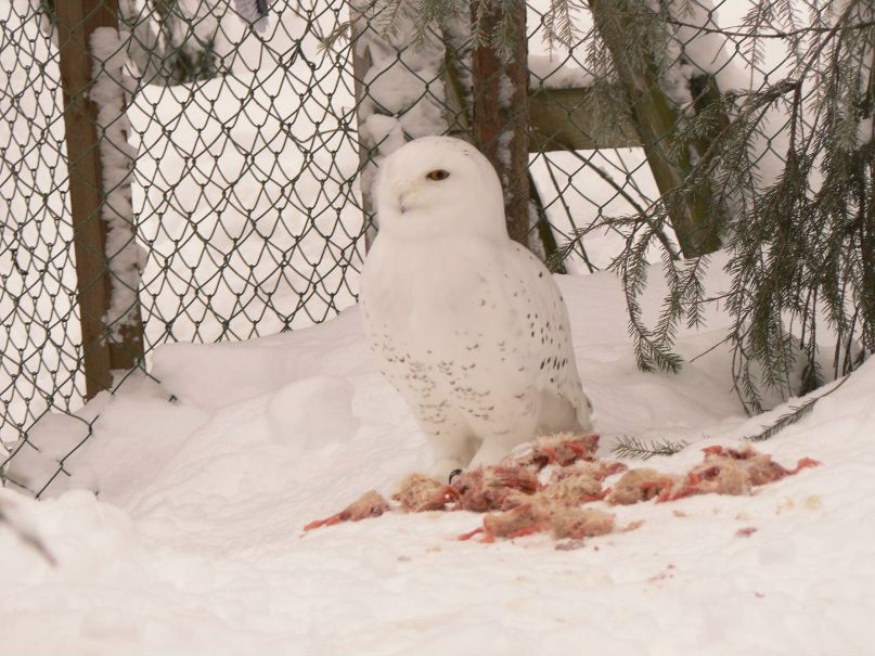 Юлия Рудакова | Мурманск