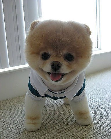 Маргарита Малявина | Елец