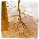 №19 Ольга Станилова : профиль, фото, статус - ВКонтакте