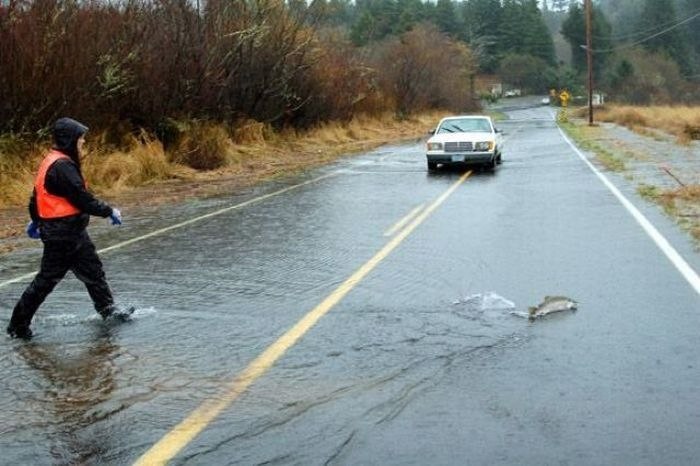 Илья Стариков | Москва