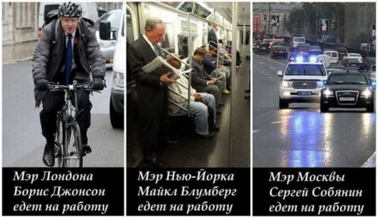 Анатолий Николаев | Гатчина