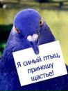 №37 Екатерина Румянцева-Медведева 18.10.1998: профиль, фото, статус - ВКонтакте
