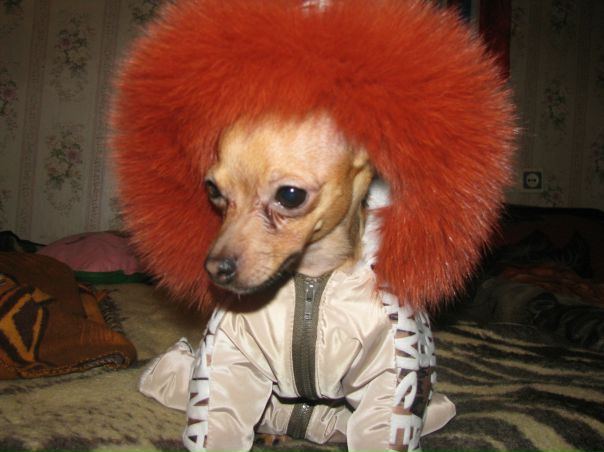 №1, Людмила Сергеева, Санкт-Петербург №1, Людмила Сергеева, Санкт-Петербург