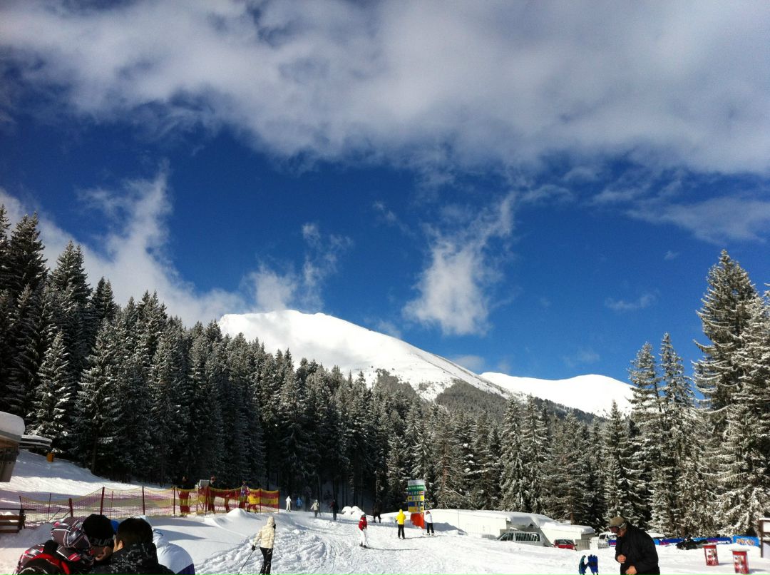 Александр Морозов | Москва