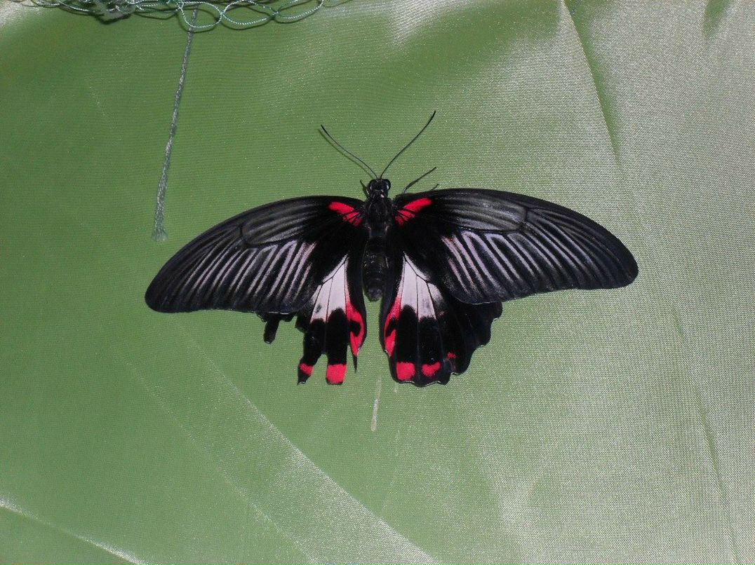 Олеся Кузнецова | Набережные Челны