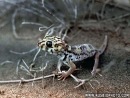 Фотография Зиновьева Сергея