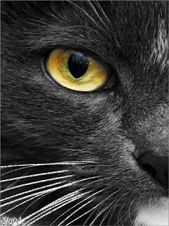 Игорь Морозов | Москва