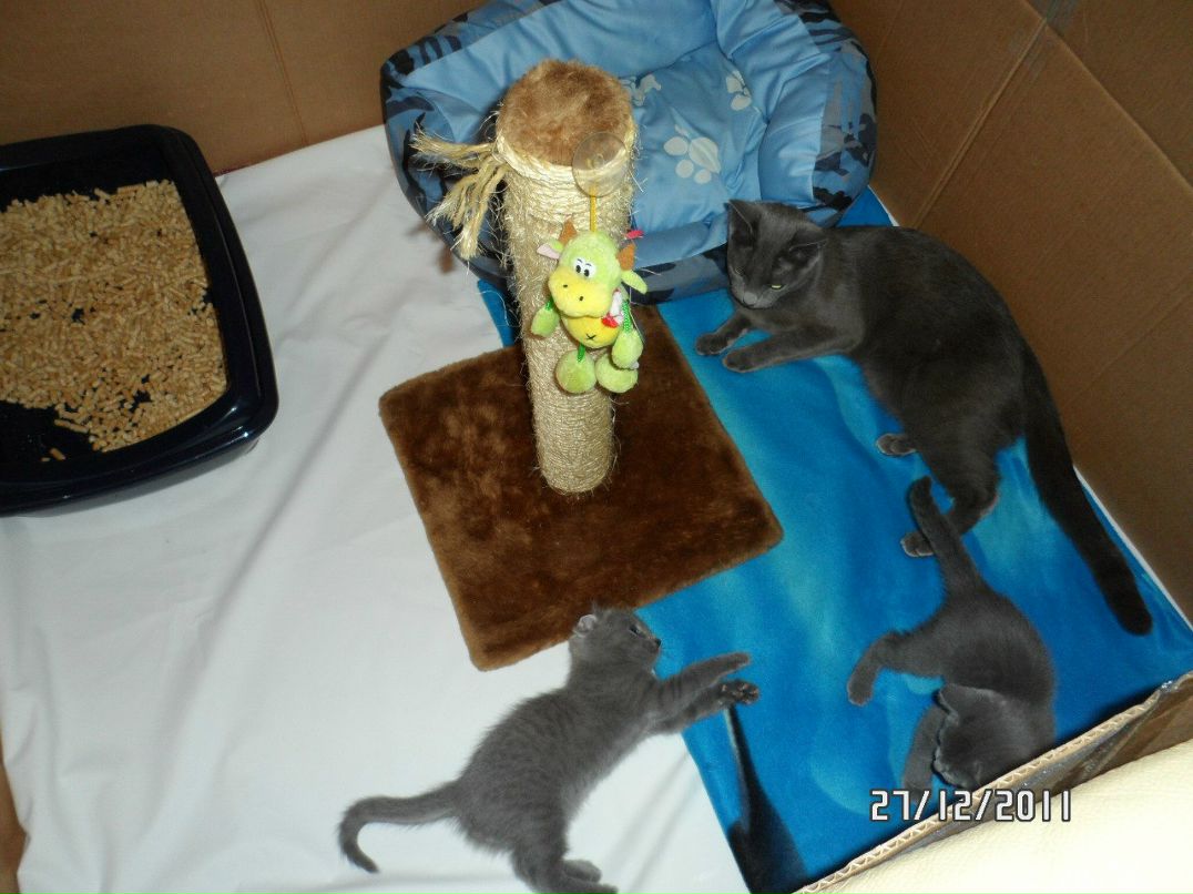 Ирина Егорова | Санкт-Петербург