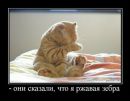 Фотография Арслан Хурматуллин