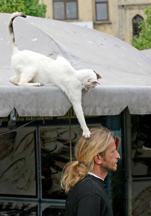 Антон Воробьев ★антонио воробьяно★™ | Москва