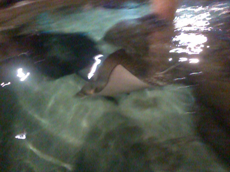 Татьяна Баранова | Санкт-Петербург