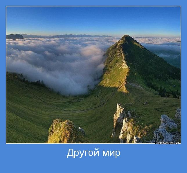 Роман Медведев | Балашиха