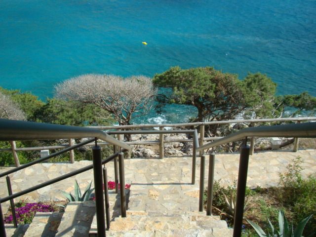 №20, Алина Коваль, Киев №20, Алина Коваль, Киев