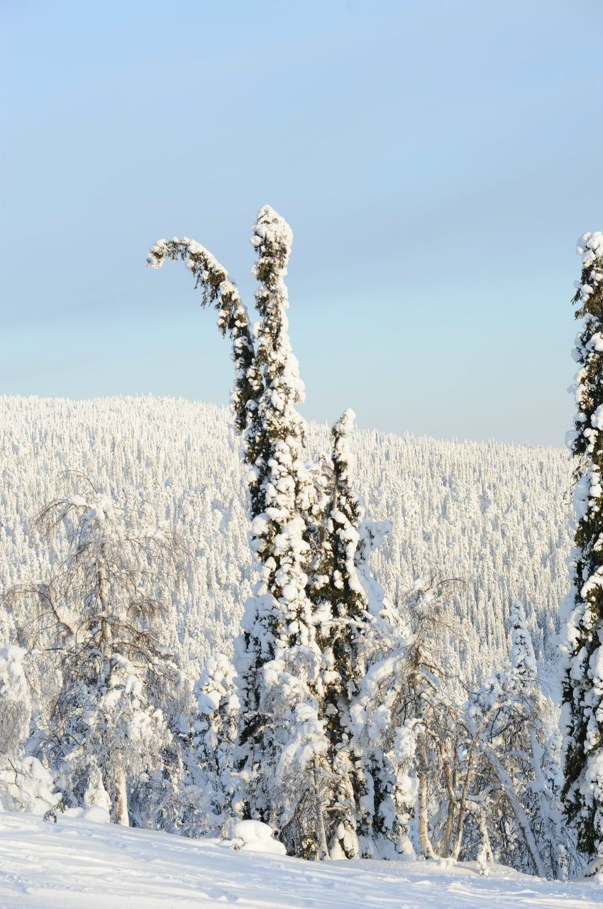 Вова Галайко | Москва