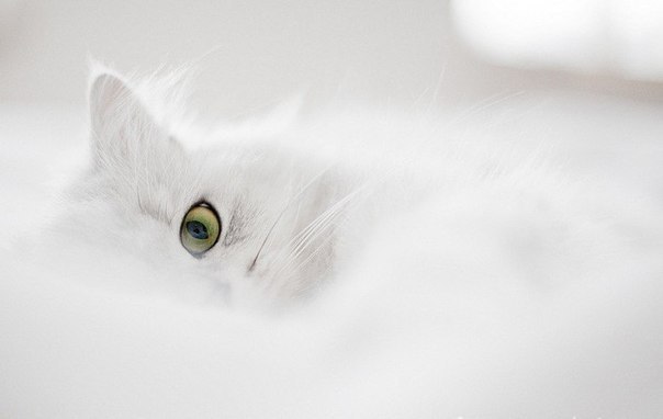 Kseniya Senina ♥ANGEL♥ | Antalya