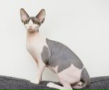 №4, Ирина Соловьева, 29.8, Санкт-Петербург, Россия