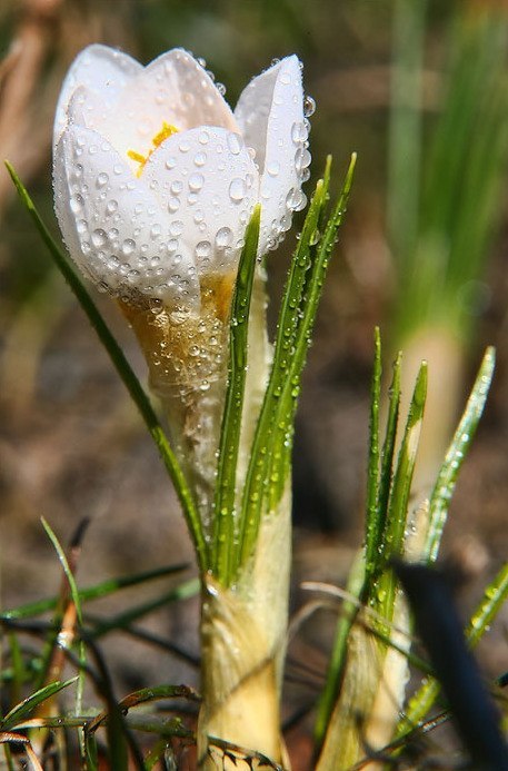 Tatiana Efremova | Санкт-Петербург