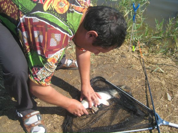 №55, Жорж Оглы, Мелитополь №55, Жорж Оглы, Мелитополь