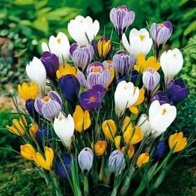 Наталья Алексеева | Erkrath