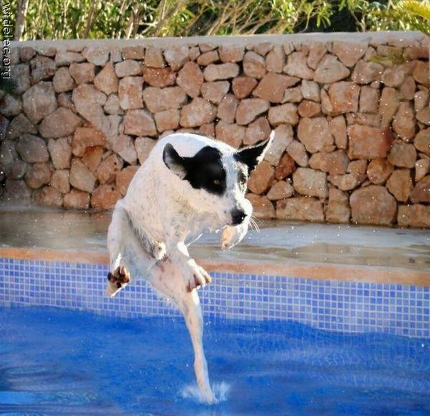 №80, Надежда Гасанова, Баку №80, Надежда Гасанова, Баку