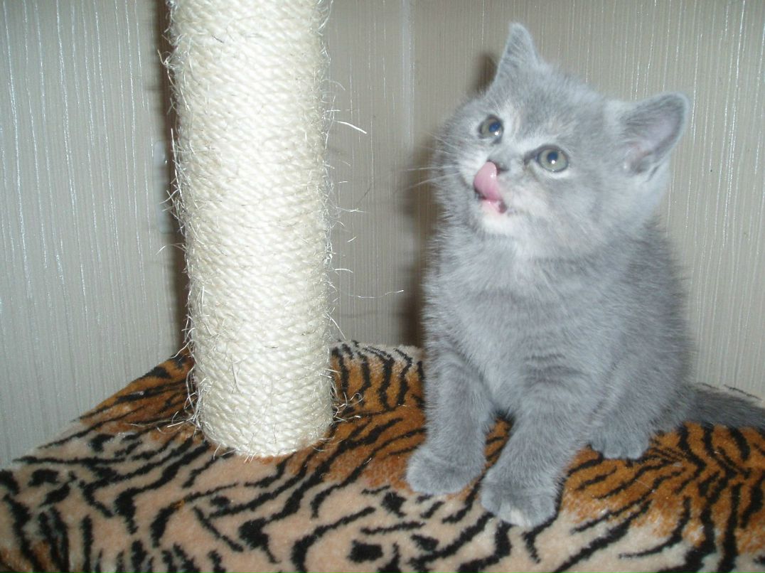 Анастасия Ютовец | Николаев