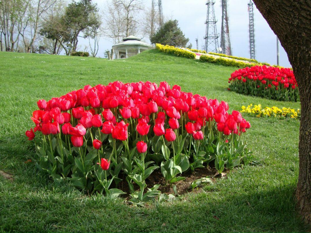 Вероника Королева Караарслан | İstanbul