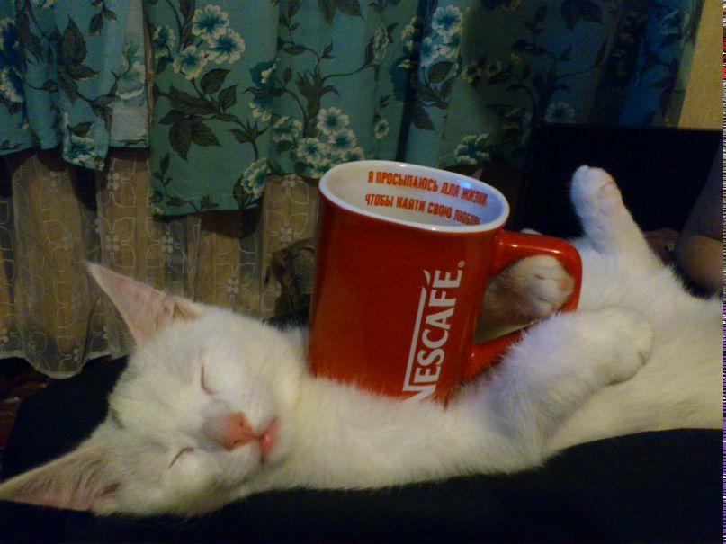 Александр Накозин | Северодвинск