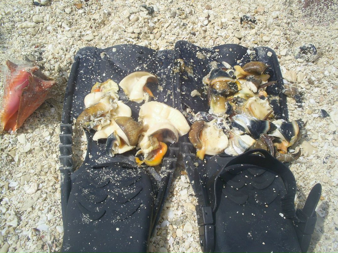 Екатерина Никищихина | Москва