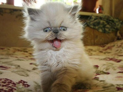 №39, Женька Горбатюк, Киев №39, Женька Горбатюк, Киев