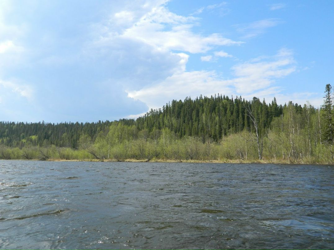 Виктор Кудрявцев | Якша