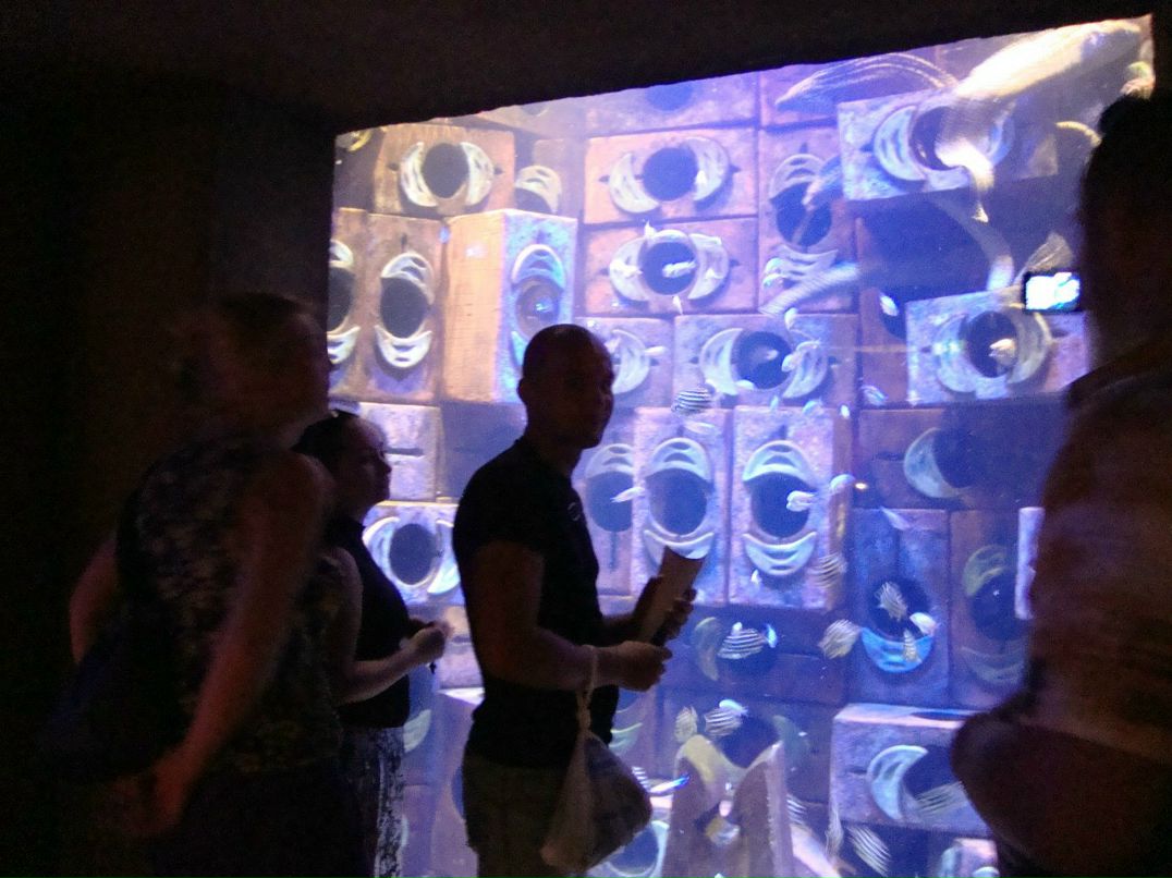 Владислав Антонов | Москва