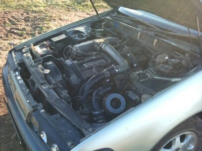 Николай Сажин | Санкт-Петербург