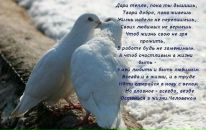 Фотография Светлана Фёдорова