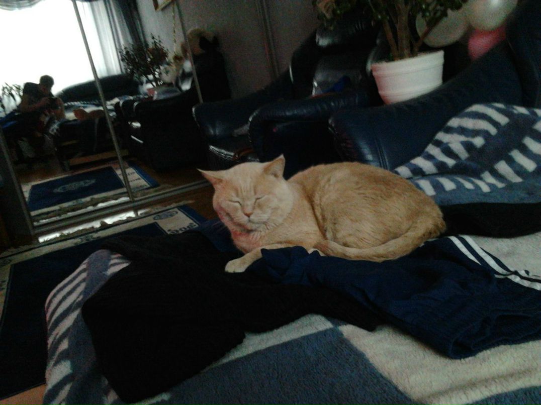 Александр Груздев | Москва