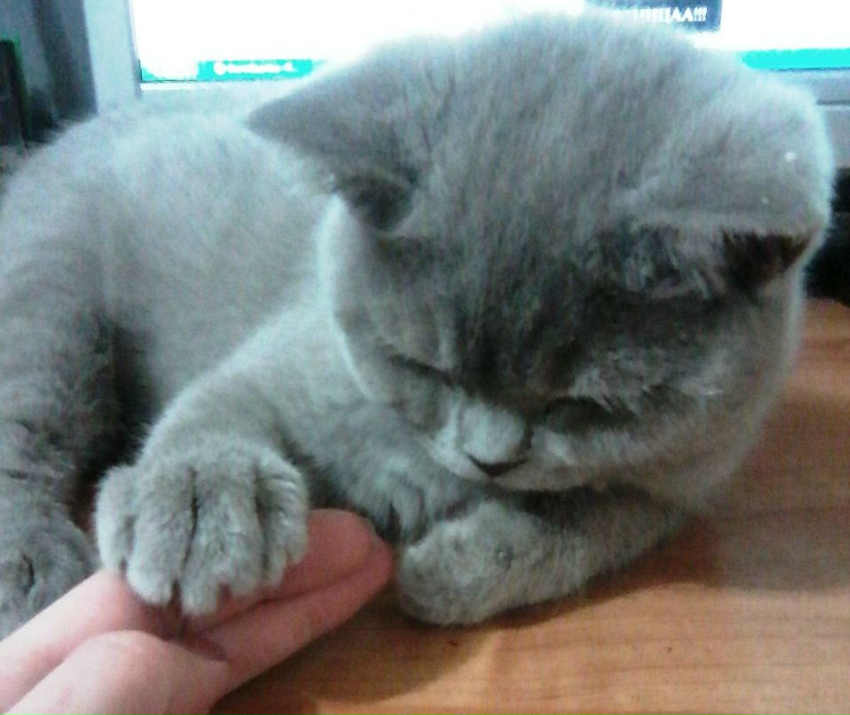 Ольга Шуднева | Полоцк