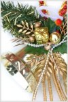 Новый Год 2009!!!=) Новый Год 2009!!!=)