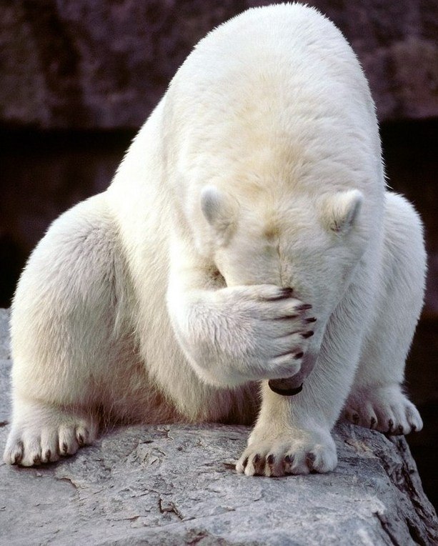 Маринка Бабкина | Екатеринбург