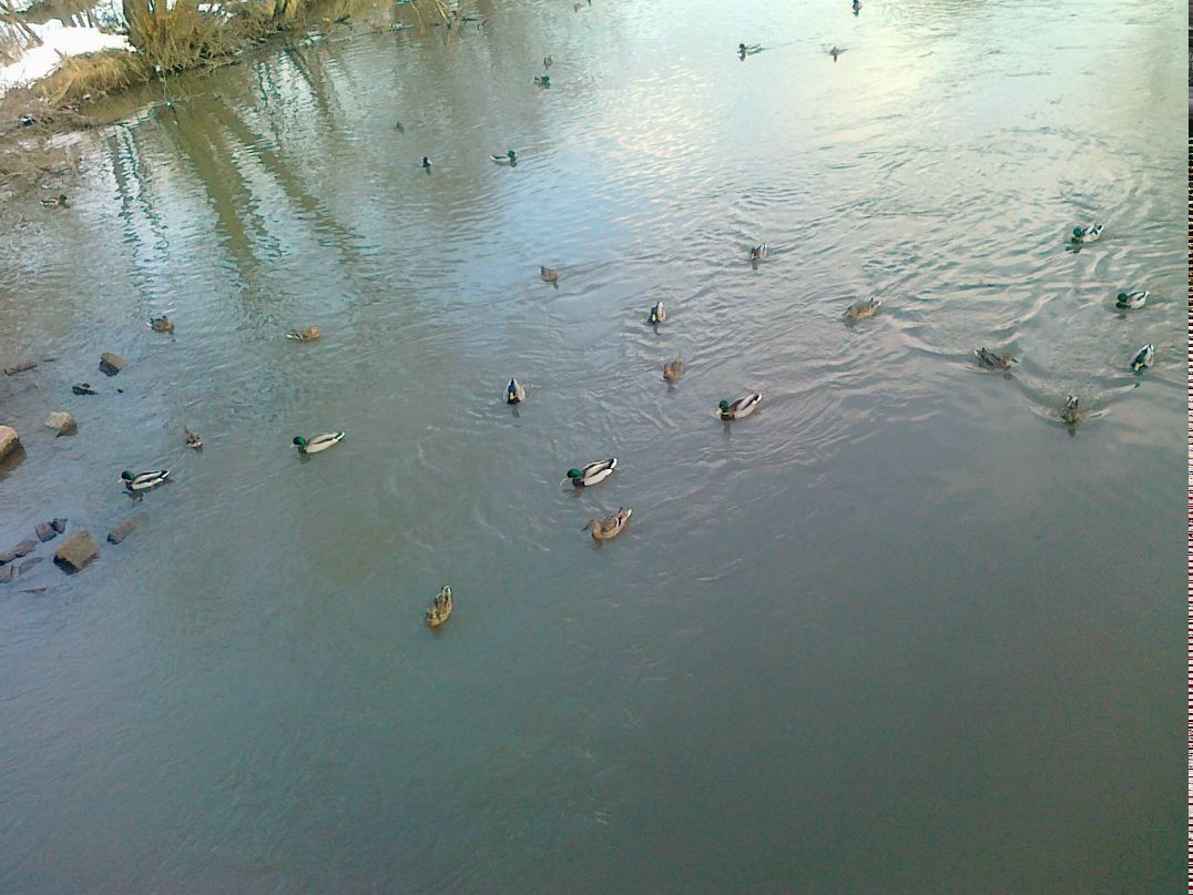 Наталья Сохарева | Екатеринбург