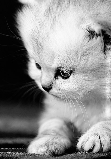 Марина Чухлатенко ۩۞۩ | Чугуев