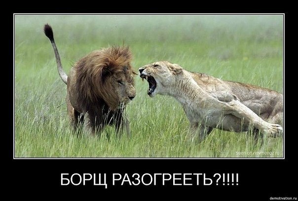 Вячеслав Фортыгин | Челябинск