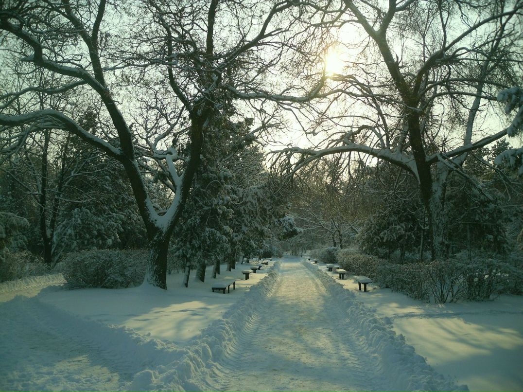 Алла Рябикова | Рени